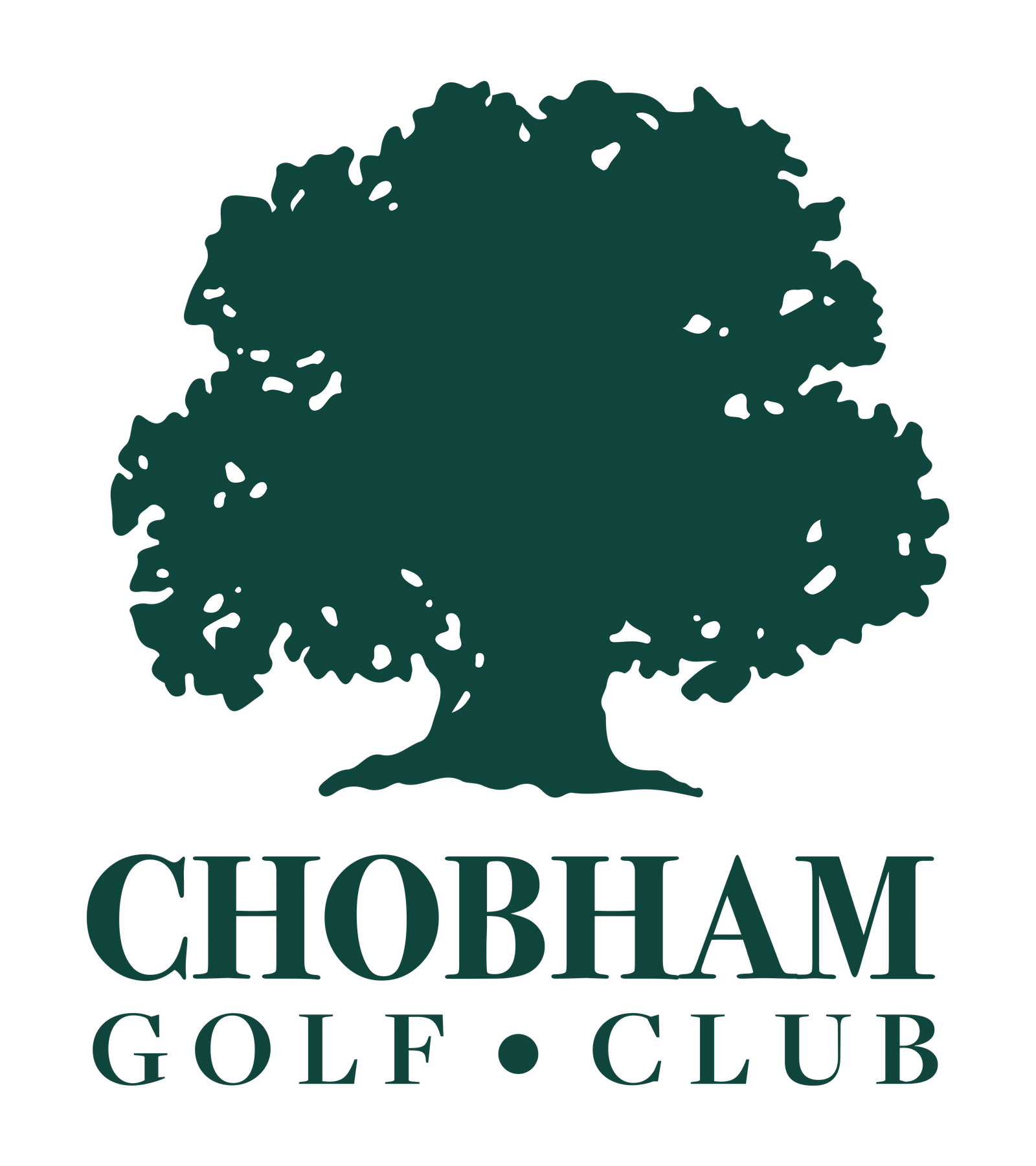 Logo 16