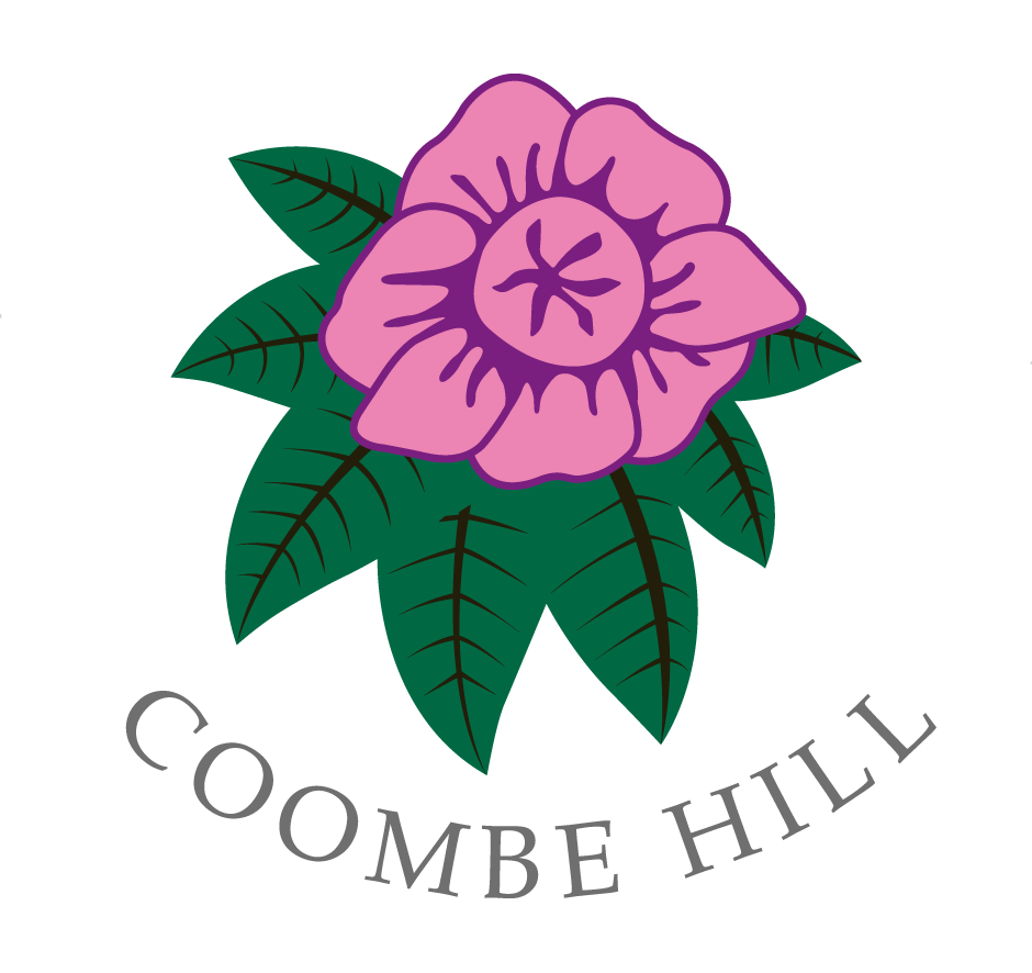 Logo 17